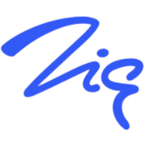 Zig Websoftware logo